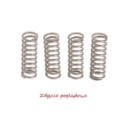 ProX Zestaw Sprężyn Sprzęgła KX250F '05-20 + RM-Z250 '05-06